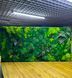 Фитокартина из Мха &mdash; 140x80 см - Ягель и Растения