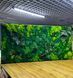 Фитокартина из Мха &mdash; 140x80 см - Ягель и Растения