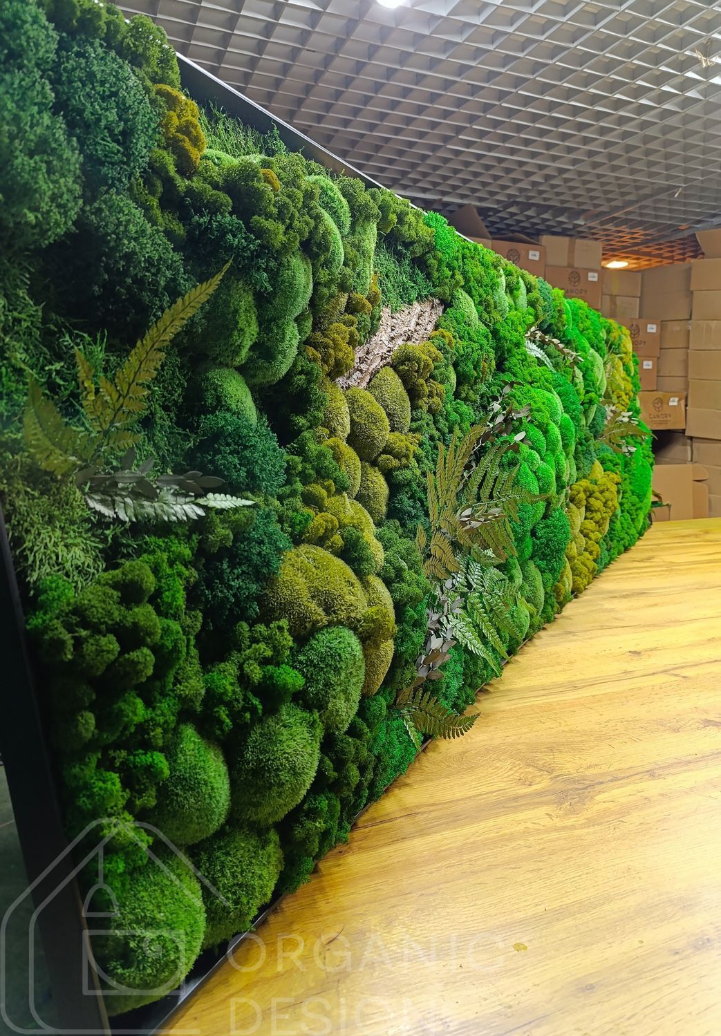 Preserved Moss Wall Art - 220x70 cm