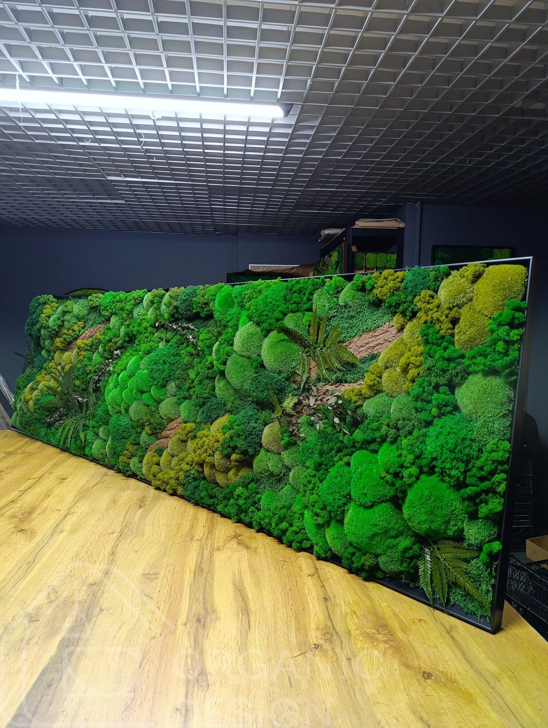 Preserved Moss Wall Art - 220x70 cm