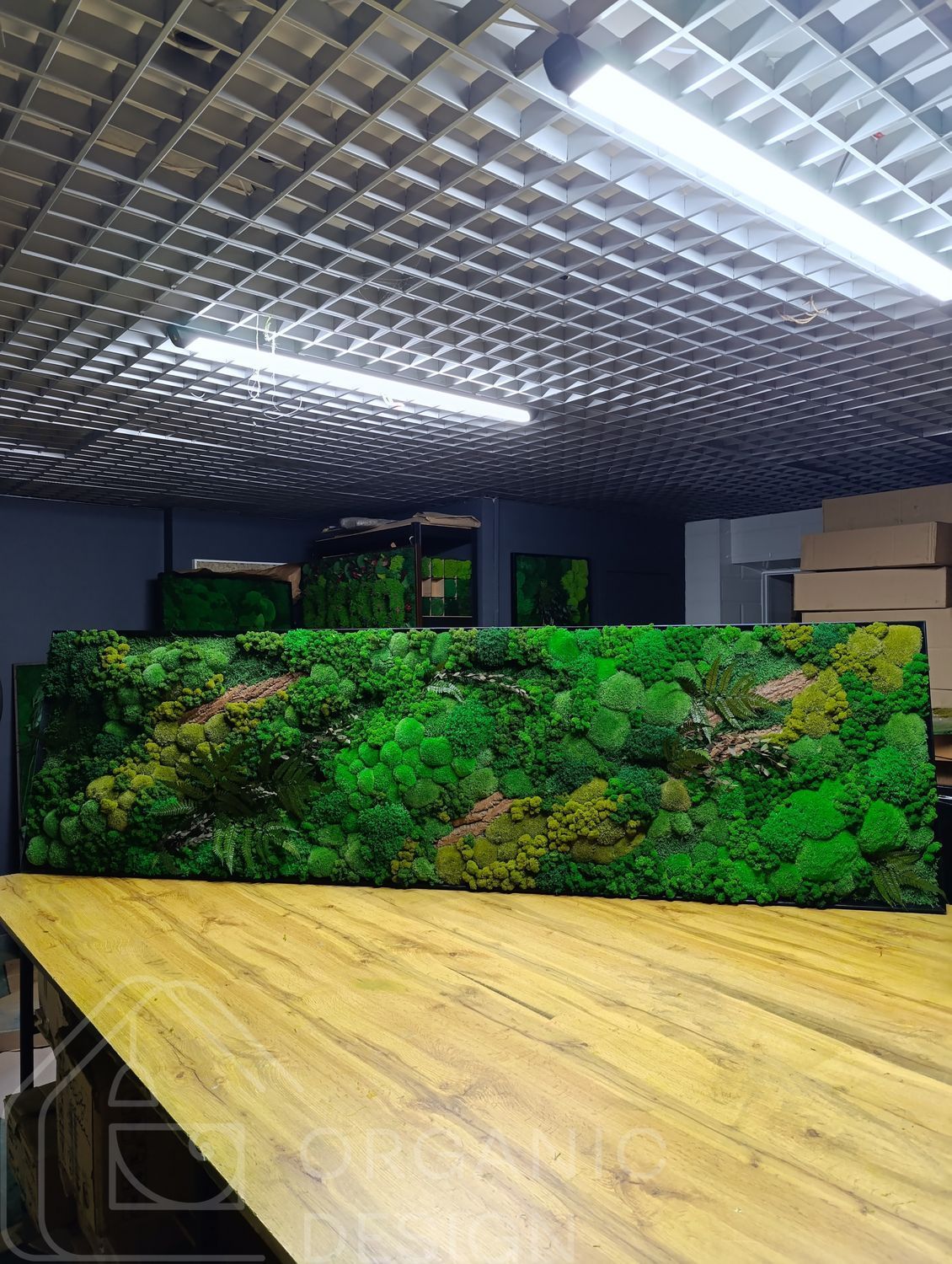Preserved Moss Wall Art - 220x70 cm