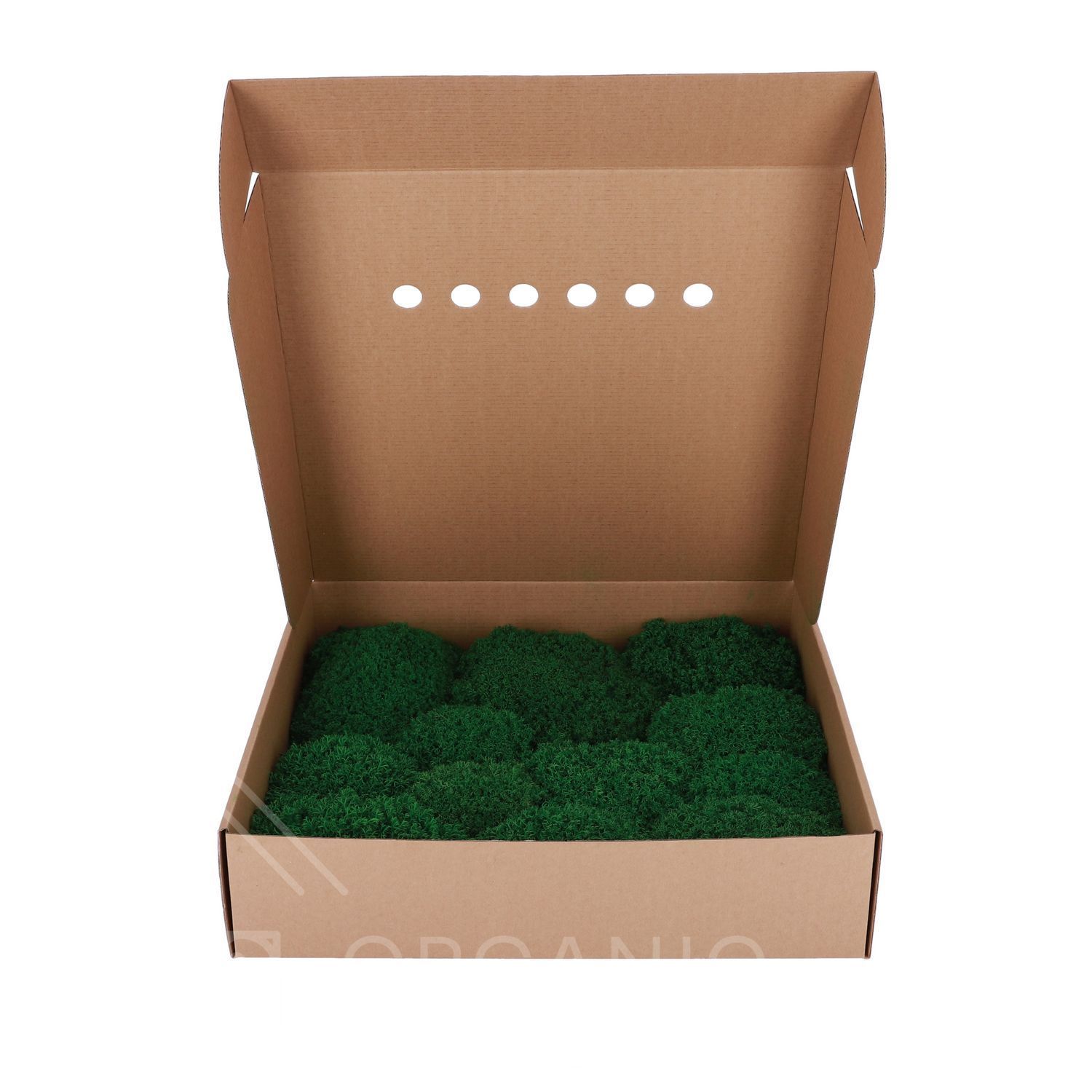 Папоротниковый Мох - Nature Green - Коробка 38х37х9 см