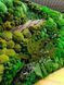 Preserved Moss Wall Art - 220x70 cm