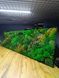 Preserved Moss Wall Art - 220x70 cm