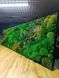 Preserved Moss Wall Art - 220x70 cm
