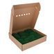 Папоротниковый Мох - Nature Green - Коробка 38х37х9 см