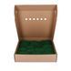 Папоротниковый Мох - Nature Green - Коробка 38х37х9 см