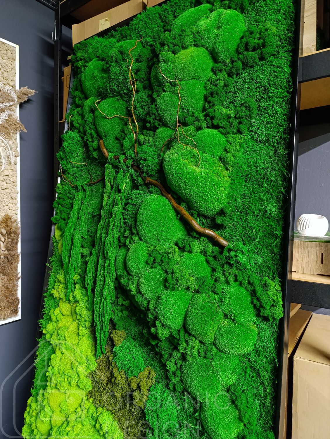 Об'ємна Картина з Моху &mdash; 180x60 см