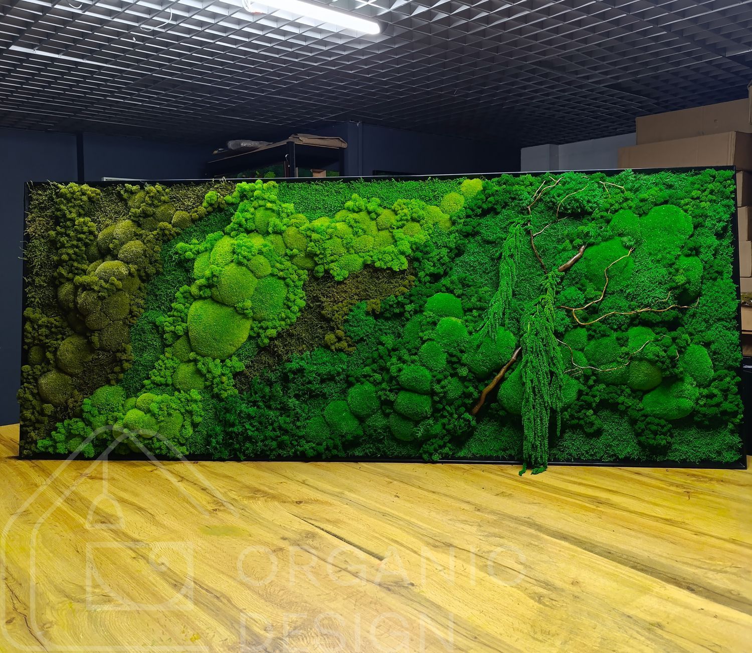 Об'ємна Картина з Моху &mdash; 180x60 см