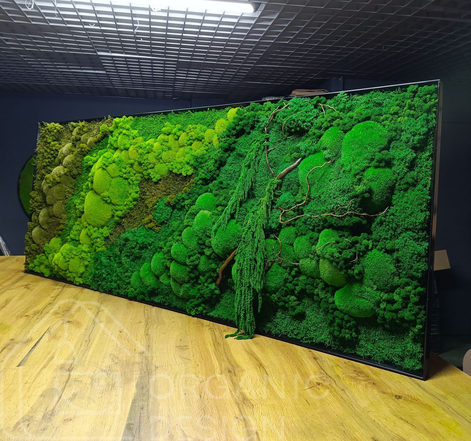 Об'ємна Картина з Моху &mdash; 180x60 см