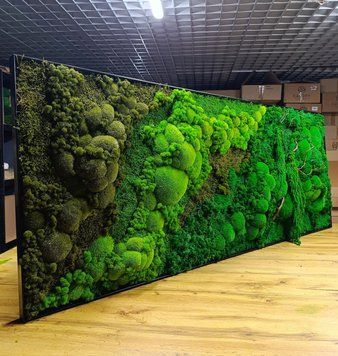 Картина з Моху - 180x60 см - Обʼємний ефект