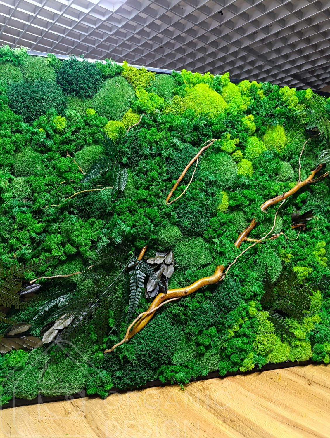 Moss Wall Art - 220x80 cm - Flat Moss and Plants and Flowers - 810