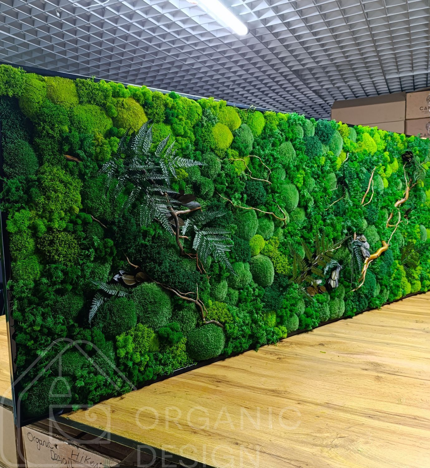 Moss Wall Art - 220x80 cm - Flat Moss and Plants and Flowers - 810