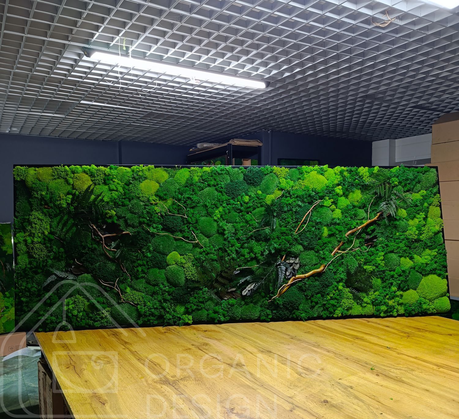 Moss Wall Art - 220x80 cm - Flat Moss and Plants and Flowers - 810