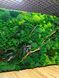 Moss Wall Art - 220x80 cm - Flat Moss and Plants and Flowers - 810