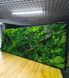 Moss Wall Art - 220x80 cm - Flat Moss and Plants and Flowers - 810