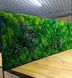 Moss Wall Art - 220x80 cm - Flat Moss and Plants and Flowers - 810