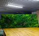 Moss Wall Art - 220x80 cm - Flat Moss and Plants and Flowers - 810