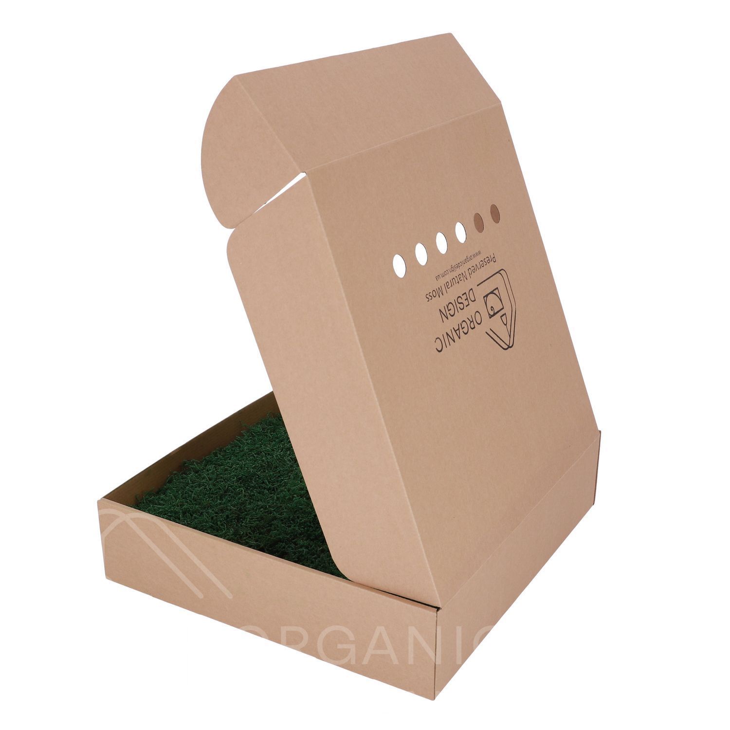 Мох Декоративний - Плоский - Forest Green - Коробка 38х37х9 см