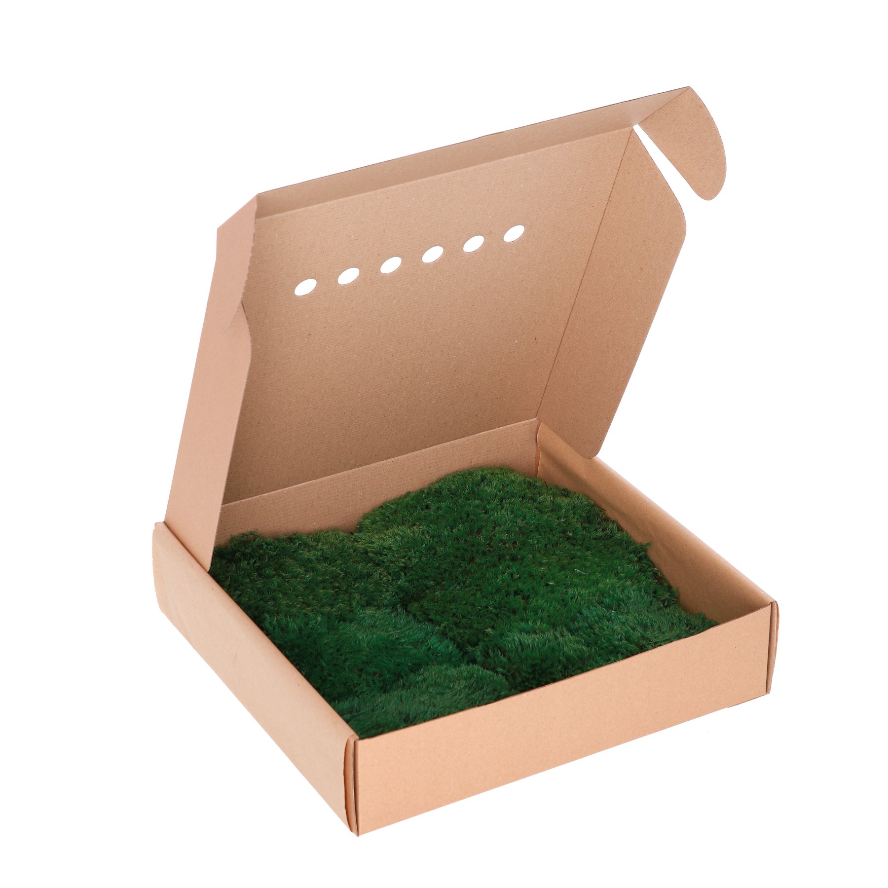 Стабілізований мох - Прованс  - 1 кг - Nature Green - 0,15 м2