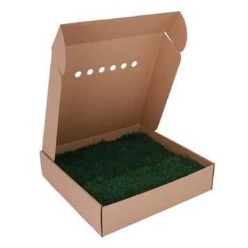 Мох Декоративний - Плоский - Forest Green - Коробка 38х37х9 см