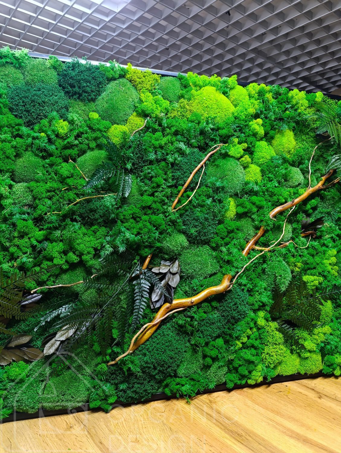 Картина из Мха - 162x60 см - Плоский Мох и Растения с подсветкой