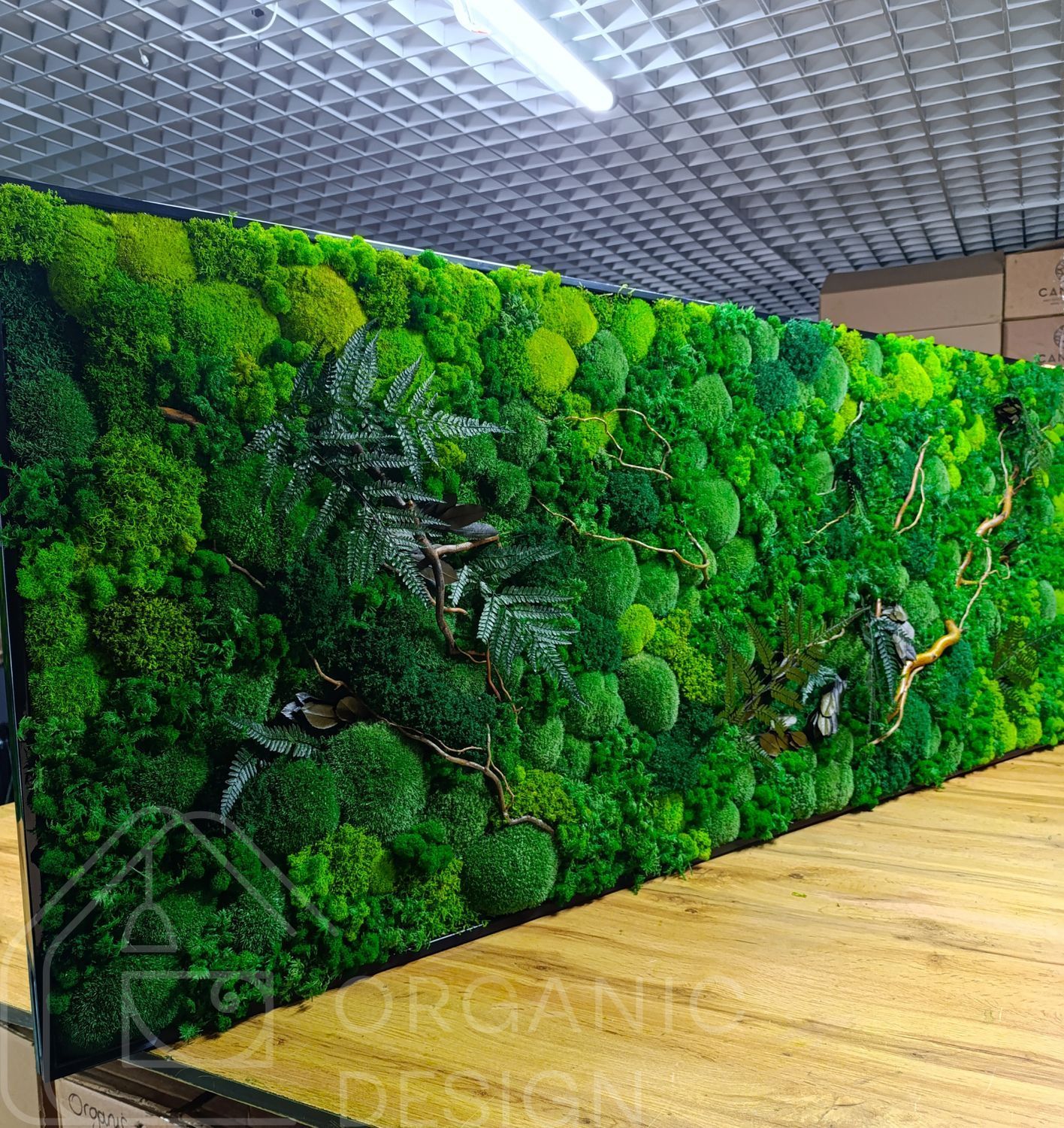 Картина из Мха - 162x60 см - Плоский Мох и Растения с подсветкой