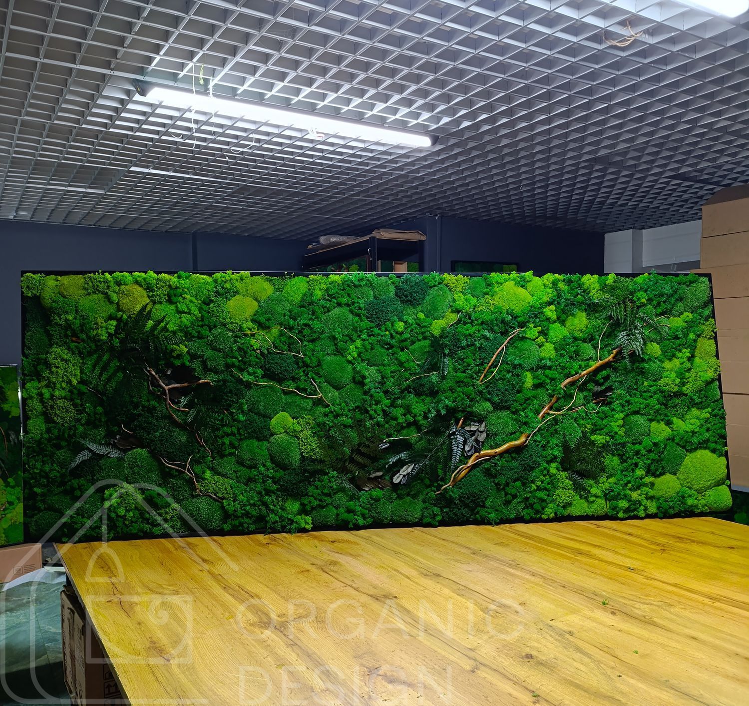 Картина из Мха - 162x60 см - Плоский Мох и Растения с подсветкой