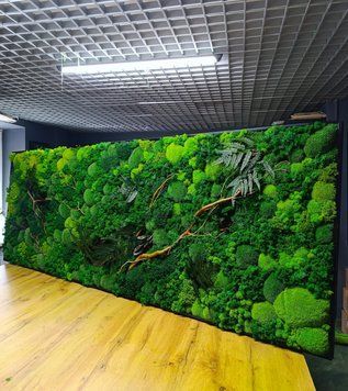 Картина из Мха - 162x60 см - Плоский Мох и Растения с подсветкой