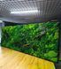 Картина из Мха - 162x60 см - Плоский Мох и Растения с подсветкой