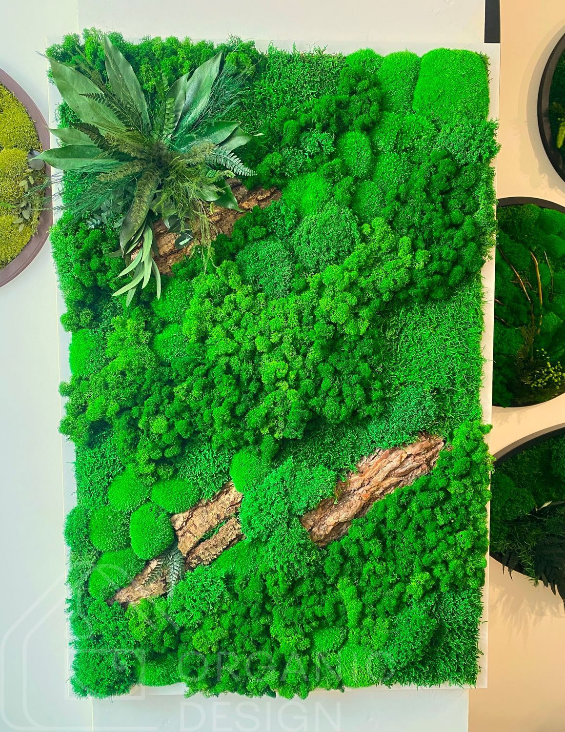 Moss Wall Art - 90x60 cm - Reindeer Moss and Cushion Moss - 831