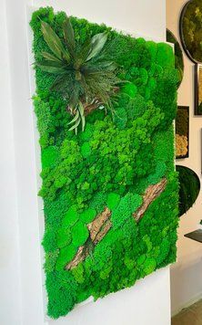 Картина з Моху - 90x60 см - Ягель та Кочка