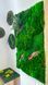 Moss Wall Art - 90x60 cm - Reindeer Moss and Cushion Moss - 831