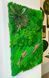 Moss Wall Art - 90x60 cm - Reindeer Moss and Cushion Moss - 831