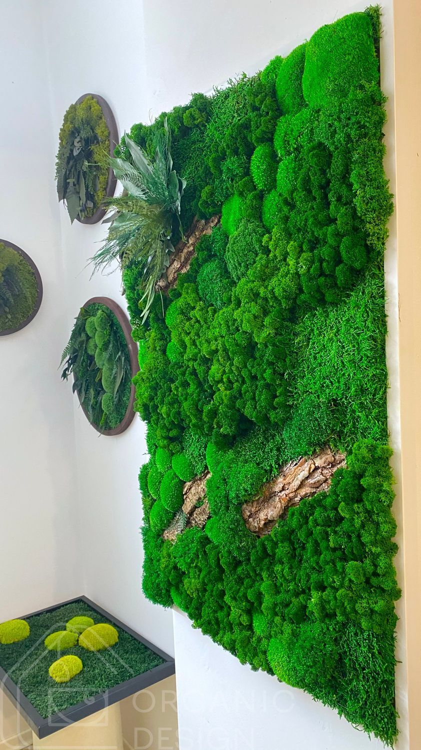 Moss Wall Art - 90x60 cm - Reindeer Moss and Cushion Moss - 831