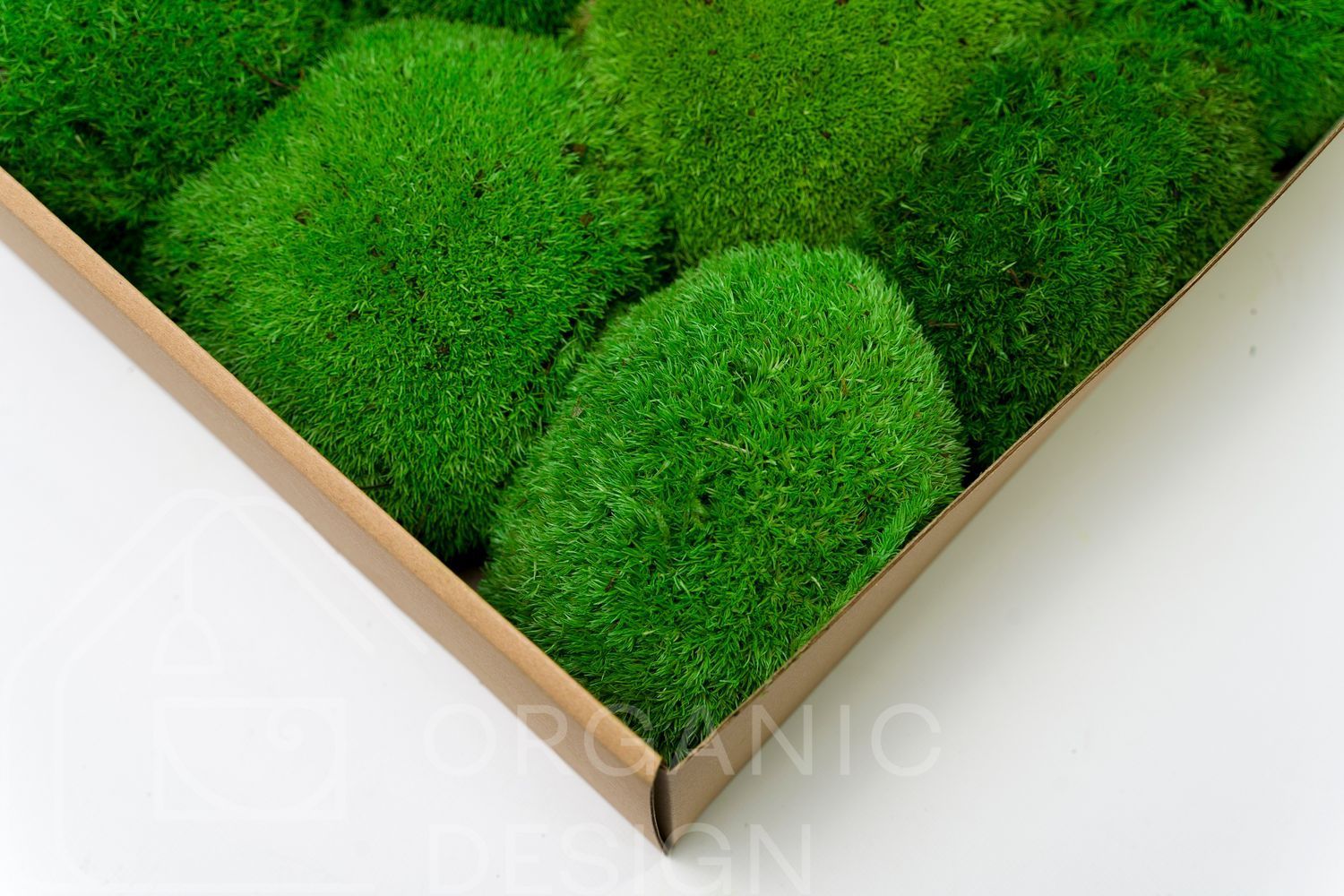 Мох Стабилизированный - Кочка - Light Green - Коробка 38х37х9 см