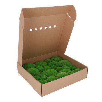 Мох Стабілізований - Кочка - Light Green - Коробка 38х37х9 см
