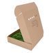 Мох Стабилизированный - Кочка - Light Green - Коробка 38х37х9 см