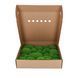 Мох Стабилизированный - Кочка - Light Green - Коробка 38х37х9 см