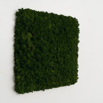 Moss Panel - Square 33 cm - Forest Green